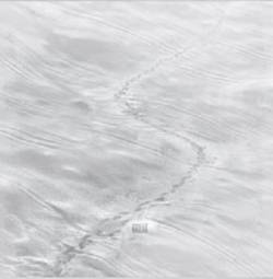 Kodiak : Kodiak (LP)